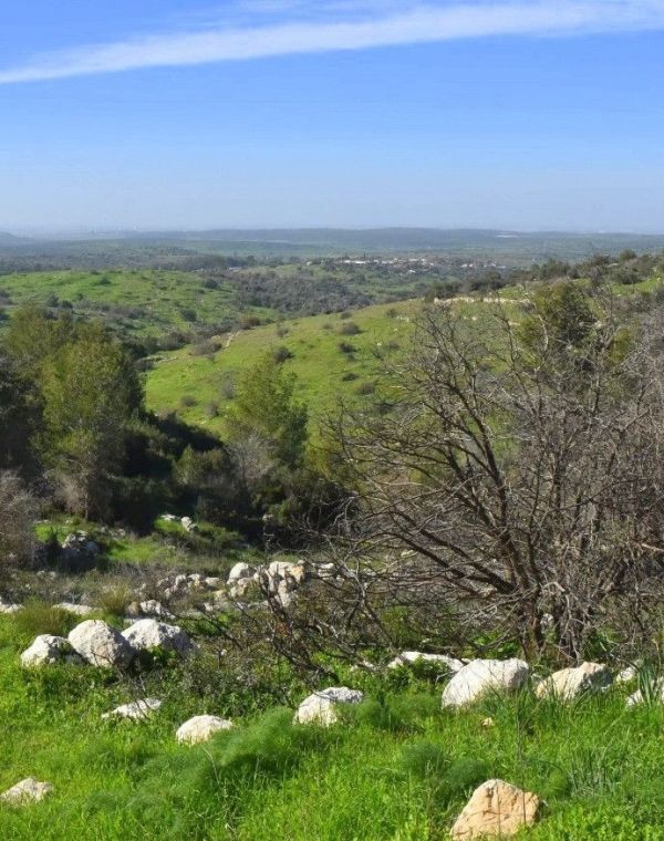 תמונה של פארק בריטניה: מסלול הבורות והבארות - למטייל בישראל (טיולי)